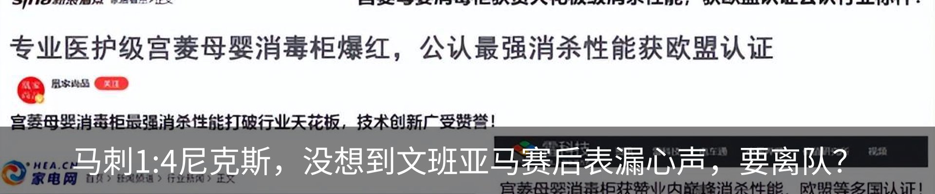新闻动态